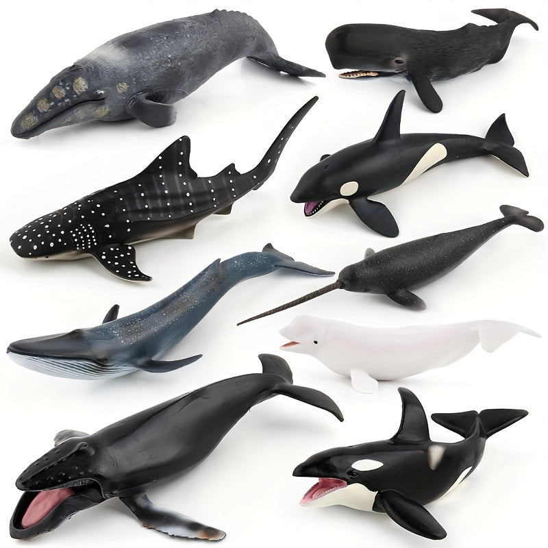 Modèles réalistes de baleines, baleine bleue, requin-baleine, narval, photo 15