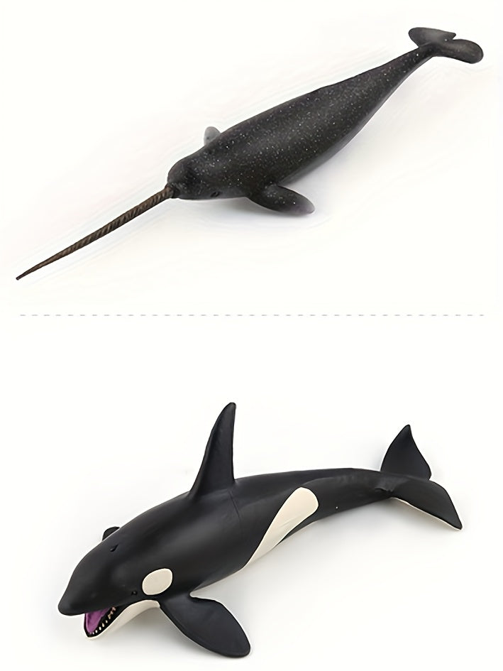Modèles réalistes de baleines, baleine bleue, requin-baleine, narval, photo 14