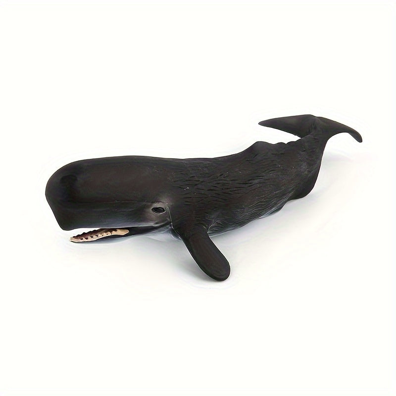 Modèles réalistes de baleines, baleine bleue, requin-baleine, narval — Monptitlou