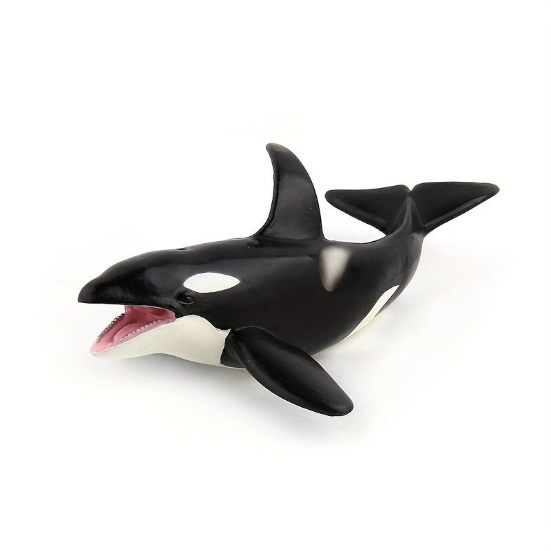 Modèles réalistes de baleines, baleine bleue, requin-baleine, narval — Monptitlou