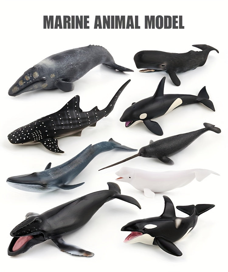 Modèles réalistes de baleines, baleine bleue, requin-baleine, narval — Monptitlou