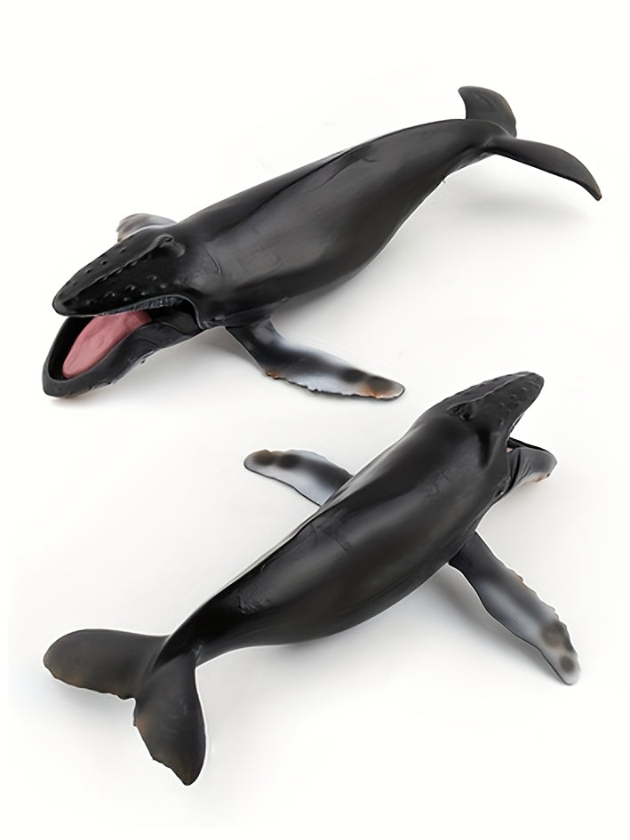 Modèles réalistes de baleines, baleine bleue, requin-baleine, narval — Monptitlou