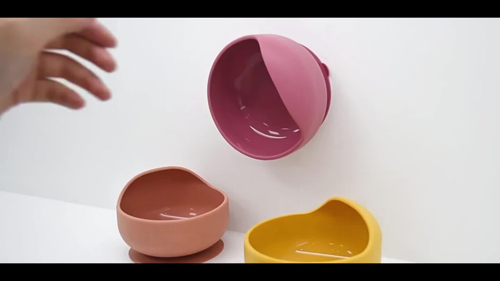 Lot de 1 bol et cuillère pour bébé, bol anti-dérapant à ventouse avec cuillère à manche en bois, vaisselle d'apprentissa