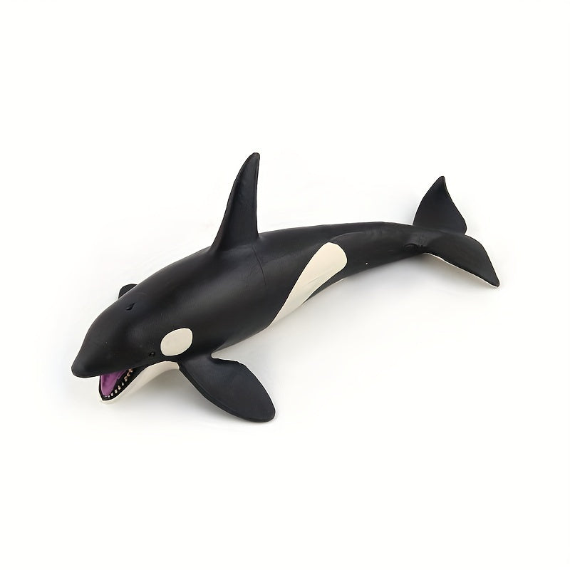 Modèles réalistes de baleines, baleine bleue, requin-baleine, narval — Monptitlou
