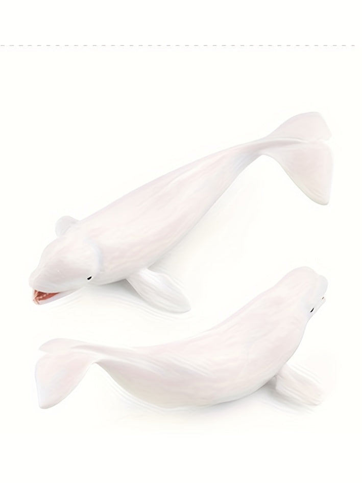 Modèles réalistes de baleines, baleine bleue, requin-baleine, narval, photo 13