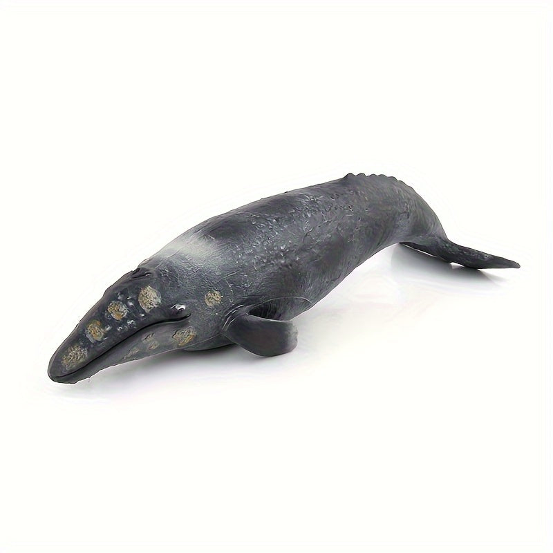 Modèles réalistes de baleines, baleine bleue, requin-baleine, narval — Monptitlou