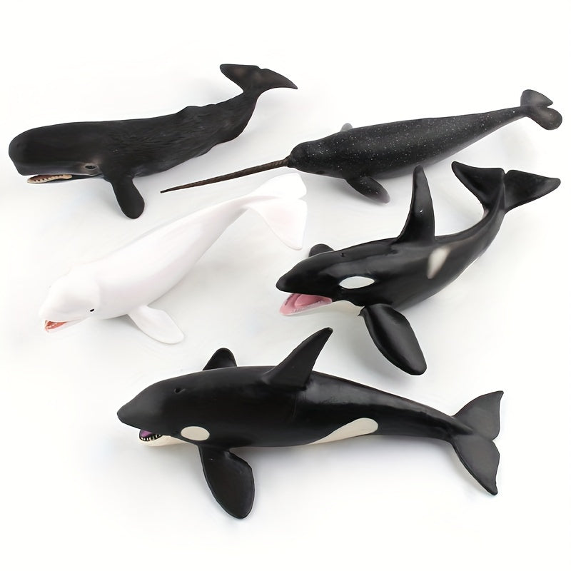 Modèles réalistes de baleines, baleine bleue, requin-baleine, narval, photo 19