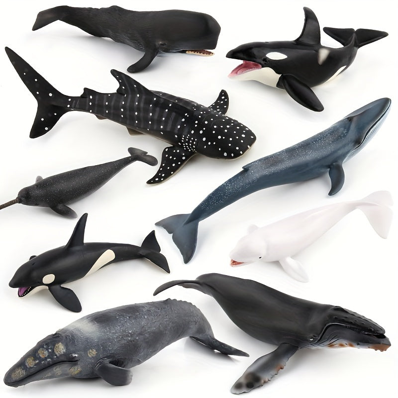 Modèles réalistes de baleines, baleine bleue, requin-baleine, narval, photo 17