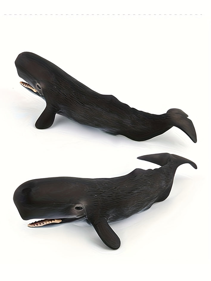 Modèles réalistes de baleines, baleine bleue, requin-baleine, narval — Monptitlou