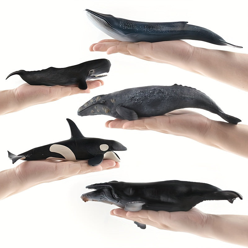 Modèles réalistes de baleines, baleine bleue, requin-baleine, narval, photo 20
