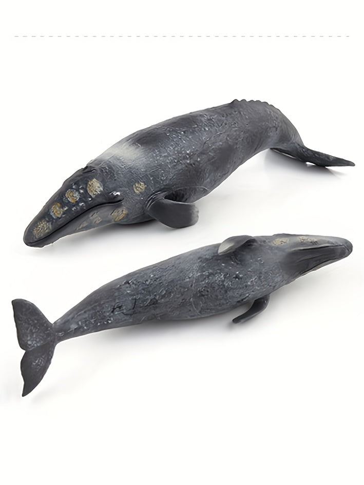 Modèles réalistes de baleines, baleine bleue, requin-baleine, narval — Monptitlou